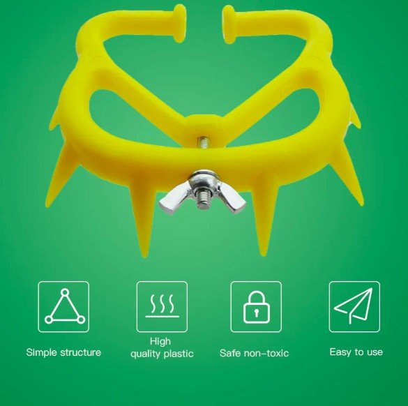 Related Product Image